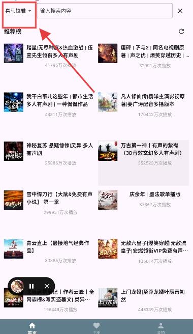 吾爱听书