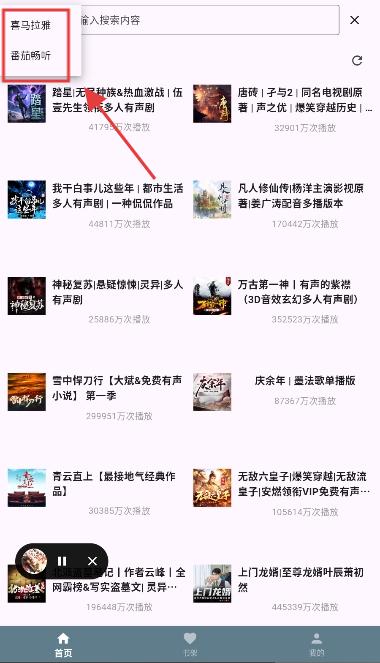 吾爱听书