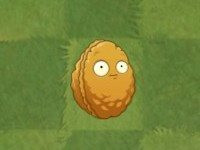 植物大战僵尸手表版