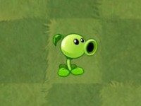 植物大战僵尸手表版