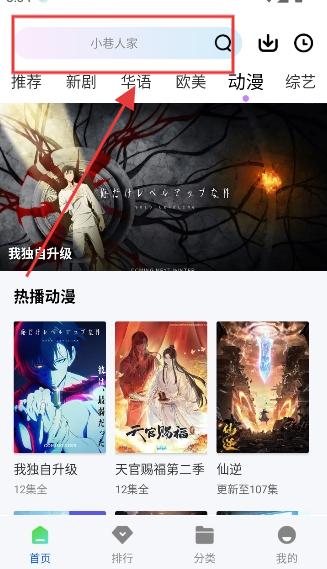 森林视频