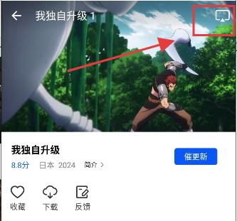 森林视频