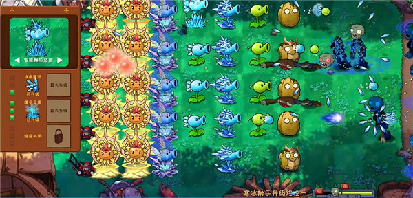 植物大战僵尸共生版