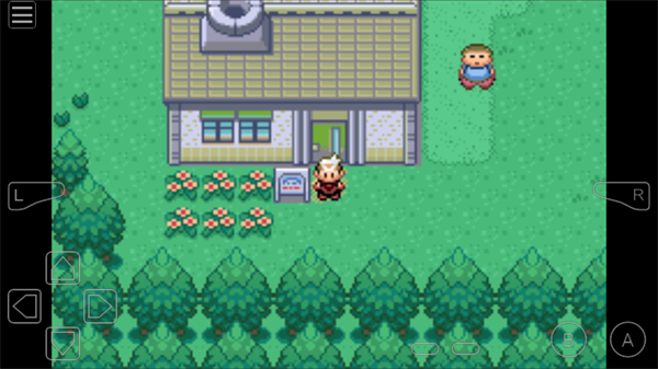 口袋妖怪燃烧绿宝石截图5