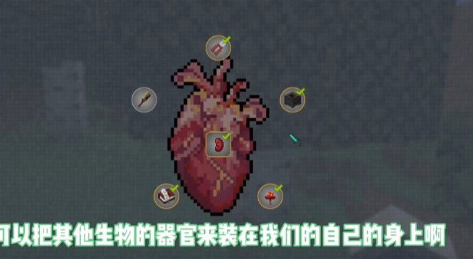 我的世界脆骨症